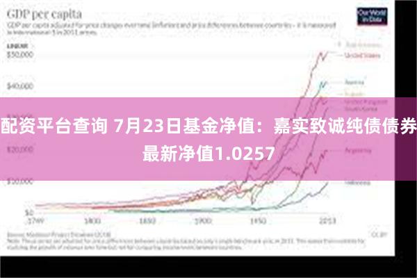 配资平台查询 7月23日基金净值：嘉实致诚纯债债券最新净值1.0257