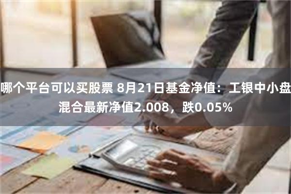 哪个平台可以买股票 8月21日基金净值：工银中小盘混合最新净值2.008，跌0.05%