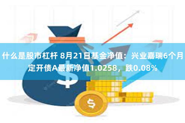 什么是股市杠杆 8月21日基金净值：兴业嘉瑞6个月定开债A最新净值1.0258，跌0.08%