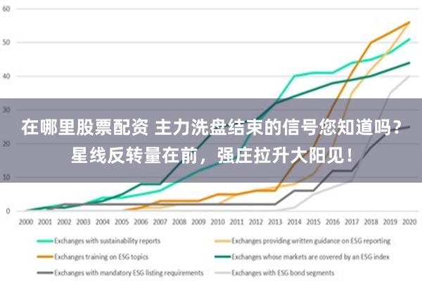 在哪里股票配资 主力洗盘结束的信号您知道吗？星线反转量在前，强庄拉升大阳见！