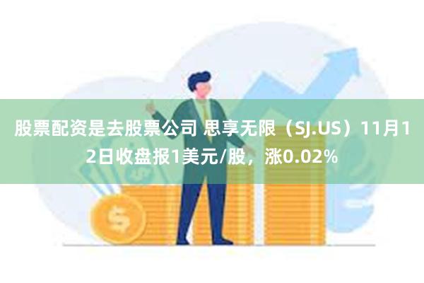 股票配资是去股票公司 思享无限（SJ.US）11月12日收盘报1美元/股，涨0.02%