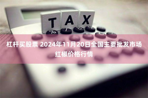 杠杆买股票 2024年11月20日全国主要批发市场红椒价格行情