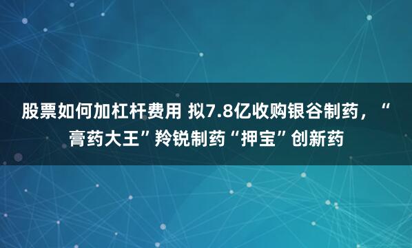 股票如何加杠杆费用 拟7.8亿收购银谷制药，“膏药大王”羚锐制药“押宝”创新药