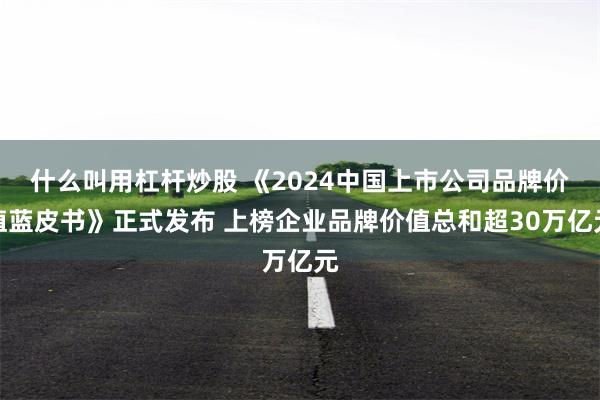 什么叫用杠杆炒股 《2024中国上市公司品牌价值蓝皮书》正式发布 上榜企业品牌价值总和超30万亿元