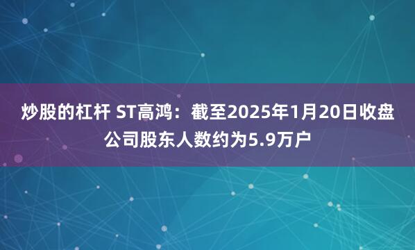 炒股的杠杆 ST高鸿：截至2025年1月20日收盘公司股东人数约为5.9万户