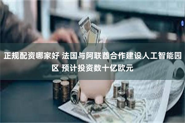 正规配资哪家好 法国与阿联酋合作建设人工智能园区 预计投资数十亿欧元