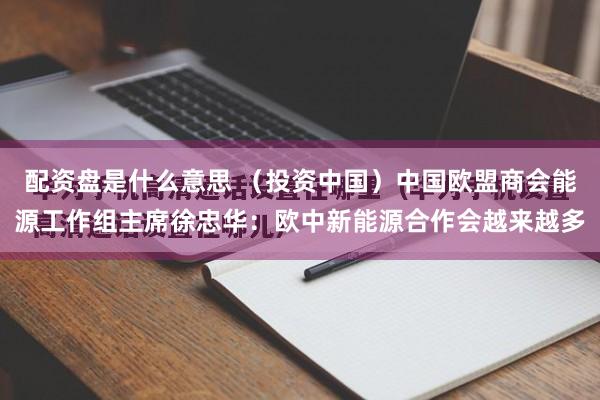 配资盘是什么意思 （投资中国）中国欧盟商会能源工作组主席徐忠华：欧中新能源合作会越来越多